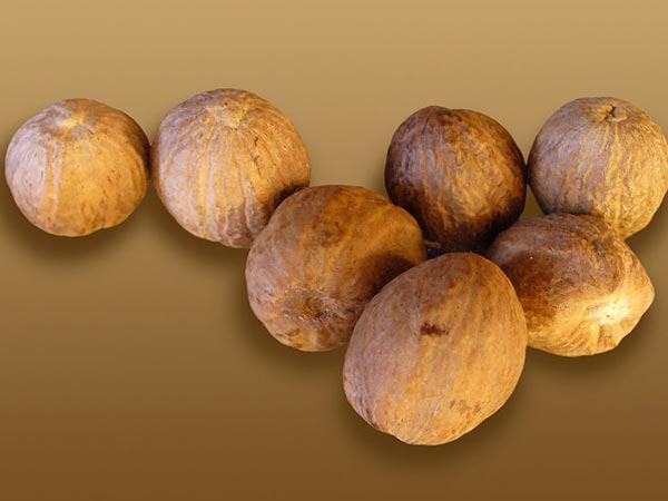 തടി