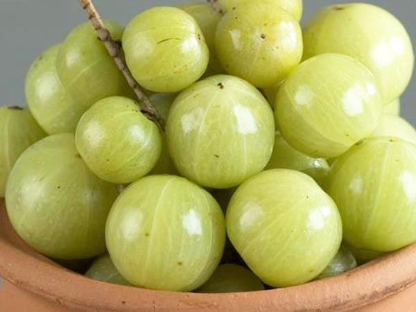 നെല്ലിക്ക