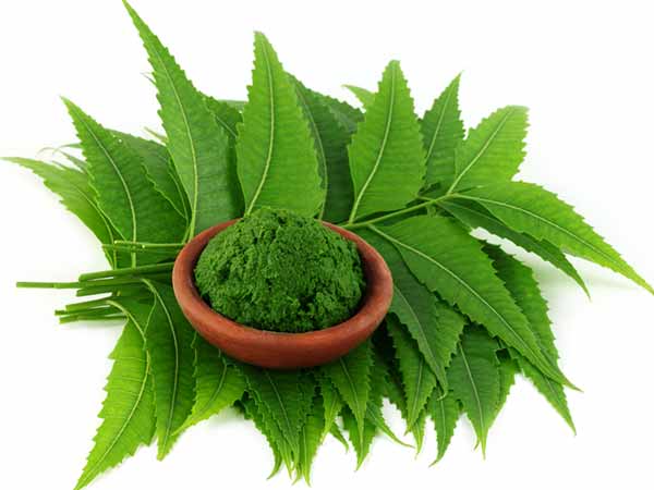 ആര്യവേപ്പില