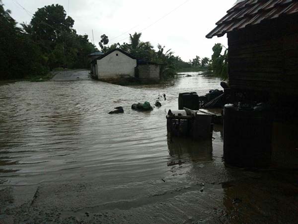 കുടിവെള്ളം ശുദ്ധീകരിക്കാനായി ഉപയോഗിക്കാവുന്ന ബ്ലീച്ചുകൾ :