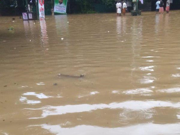 മൃതദേഹം കണ്ടാല്
