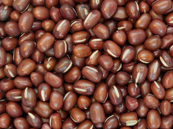 മലബന്ധത്തിന് പരിഹാരം