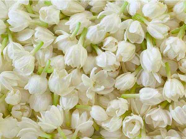 വാഹനങ്ങള്