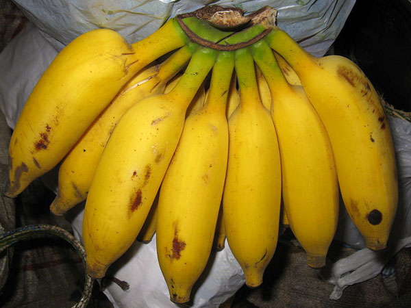 മലബന്ധത്തിന് പരിഹാരം
