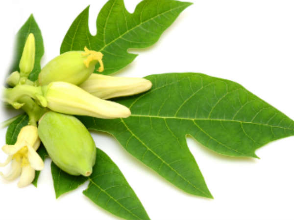 ചര്മത്തിന്റെ ആരോഗ്യത്തിനും