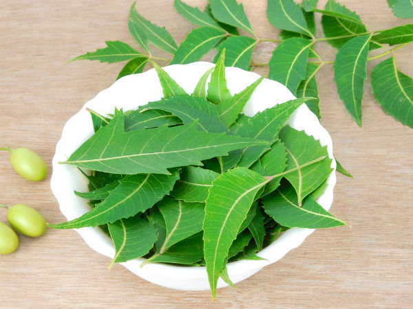 ആര്യവേപ്പില