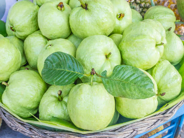 തടി കുറക്കാന്