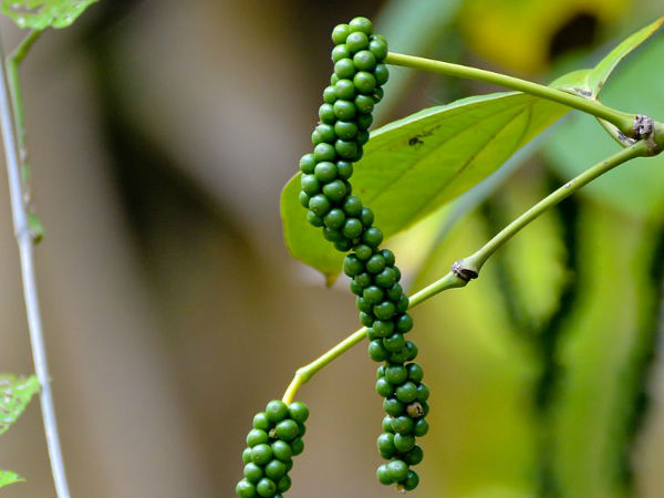തടി കുറക്കാന്