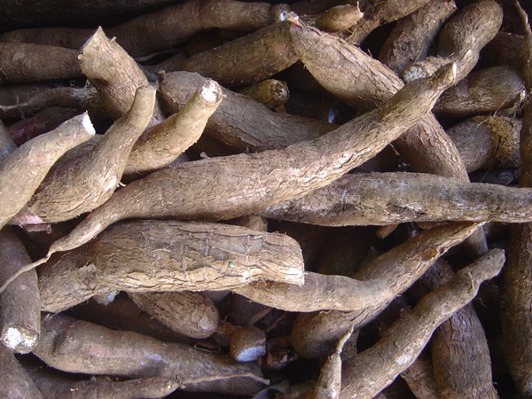 കപ്പ
