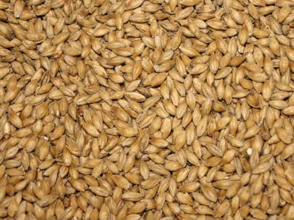 കരളിന്റെ ആരോഗ്യം