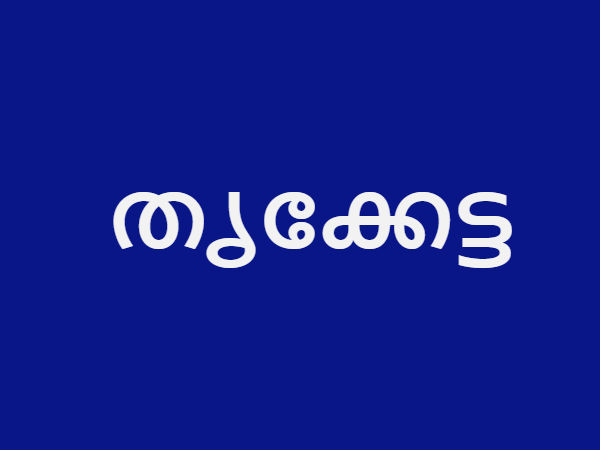 തൃക്കേട്ട, ആയില്യം