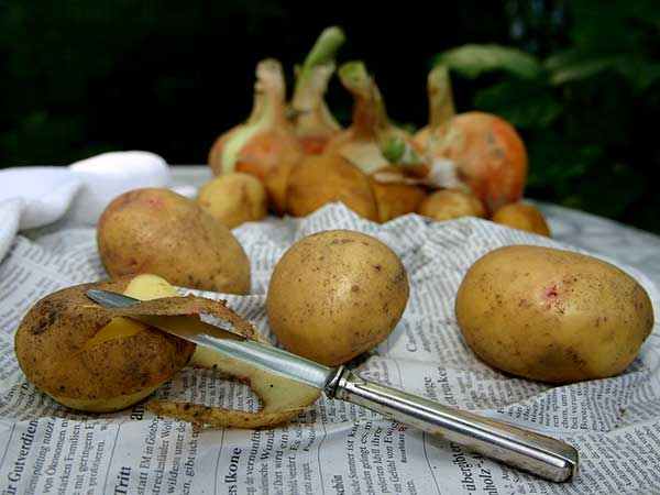 തണുപ്പുള്ള സ്ഥലത്ത് സൂക്ഷിക്കുക