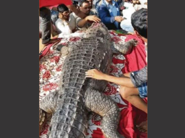 നിരവധിയാളുകൾ പങ്കെടുത്തു