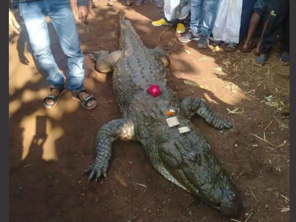 ആരേയും ഉപദ്രവിക്കാത്തത്