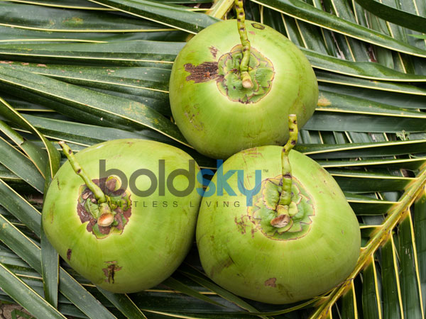ആറ് മാസത്തിന് താഴെയുള്ള കുട്ടികള്ക്ക്