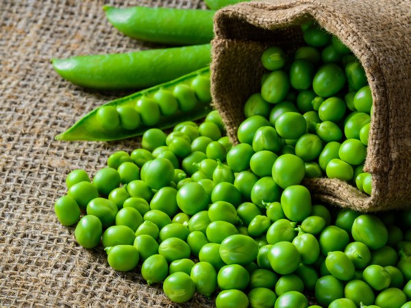 ഗ്രീന് പീസിന്റെ നിറം നഷ്ടപ്പെടാതിരിക്കാന്