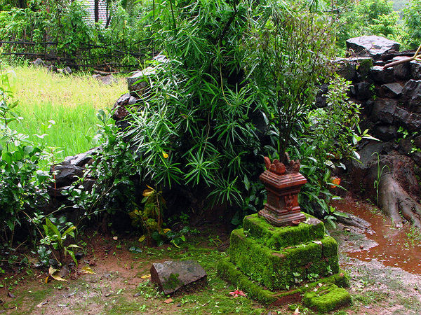 തുളസി പ്രധാനം