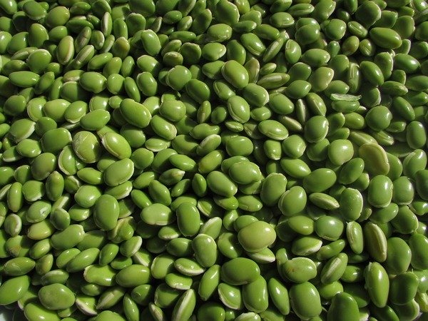 ഊര്ജ്ജം വര്ദ്ധിപ്പിക്കുന്നു