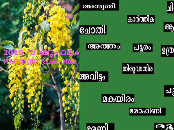 2019ലെ വിഷുഫലം