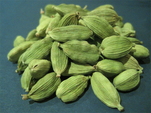 ക്യാന്സര്