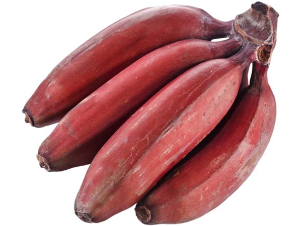 ജലാംശം നിലനിര്ത്തുന്നതിന്