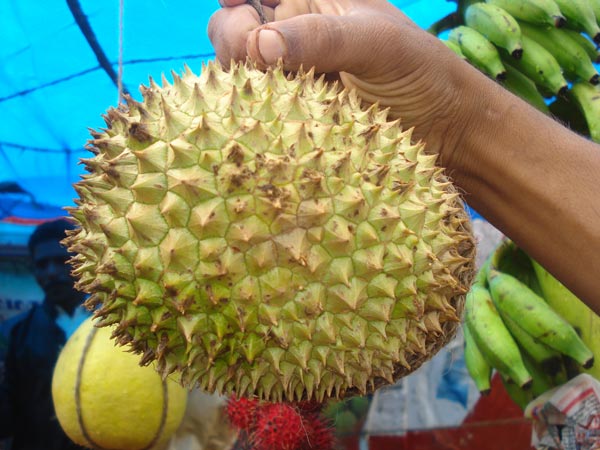 പോളിസ്റ്റിക് ഓവേറിയന് സിന്ഡ്രോം (പി.സി.ഓ. എസ്)