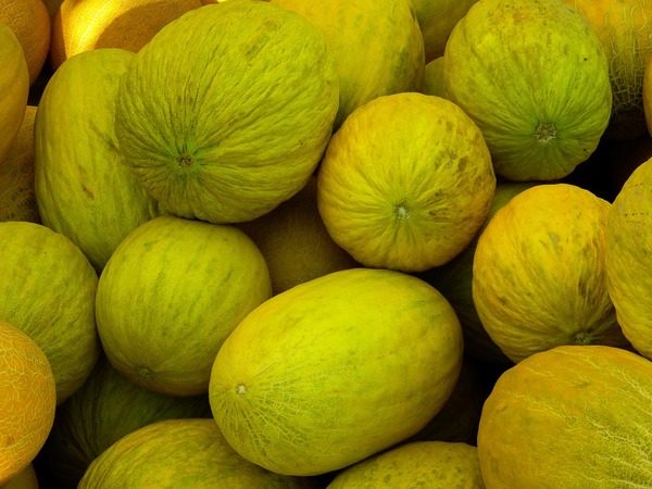 മുപ്പത്തി ആറാമത്തെ ആഴ്ച