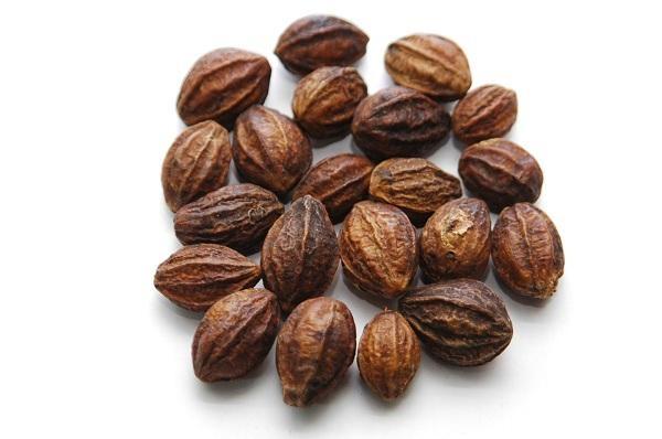 കടുക്ക