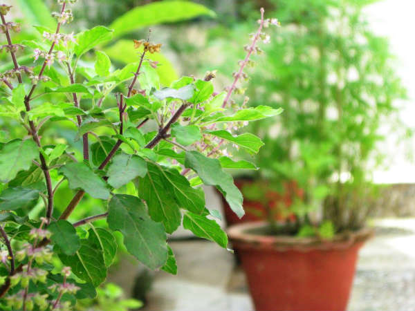 ഐശ്വര്യം