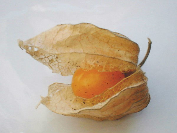 നെഞ്ചെരിച്ചില് തടയുന്നു