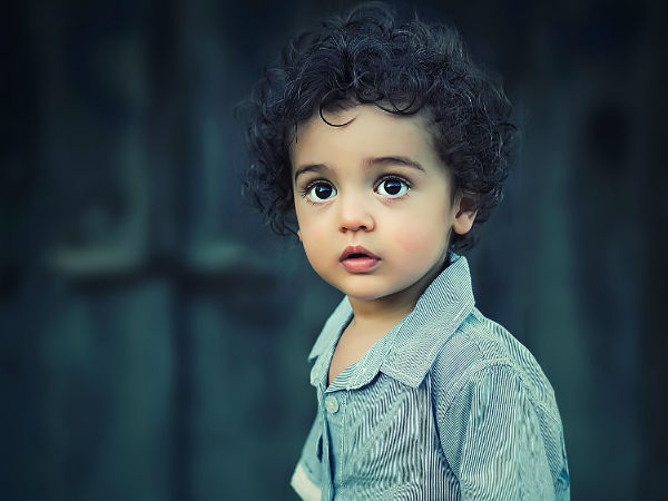 കാര്ബോഹൈഡ്രേറ്റ് കലവറ