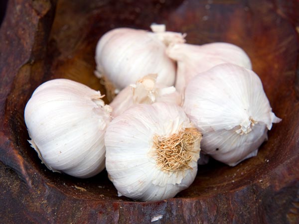 വെളുത്തുള്ളി, അയമോദകം
