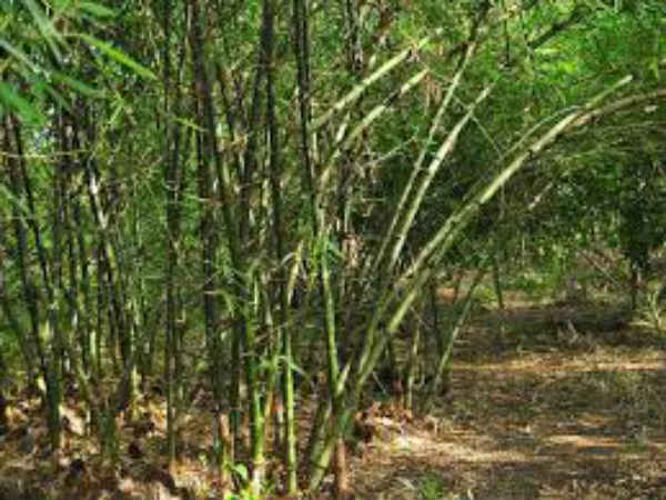 പൊസറ്റീവ് ഊര്ജം