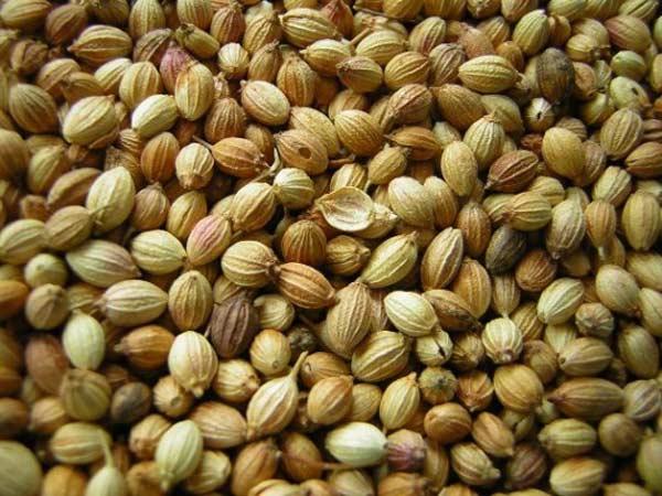 രോഗപ്രതിരോധ ശേഷി