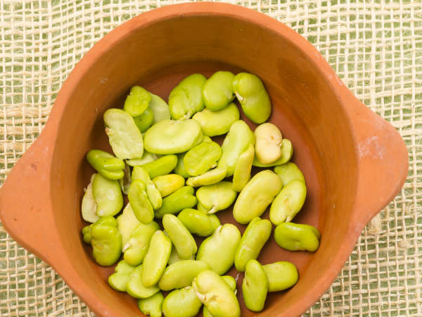 പ്രോട്ടീന് കലവറ