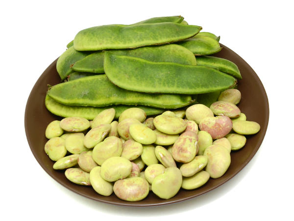 വിറ്റാമിന് മിനറല്സ്