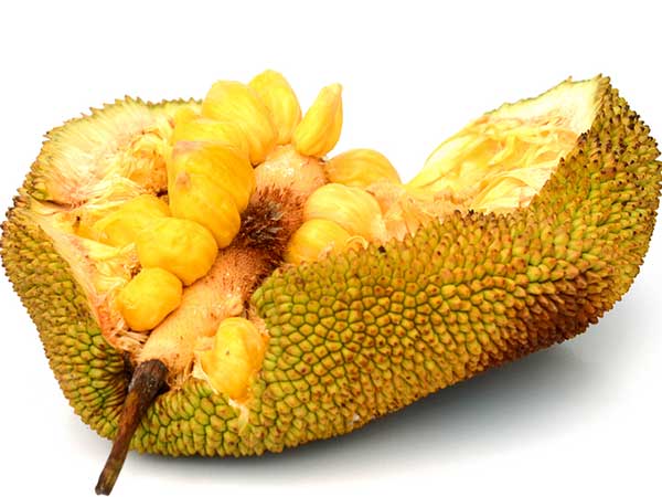 എങ്ങനെ സൂക്ഷിച്ച് വെക്കാം