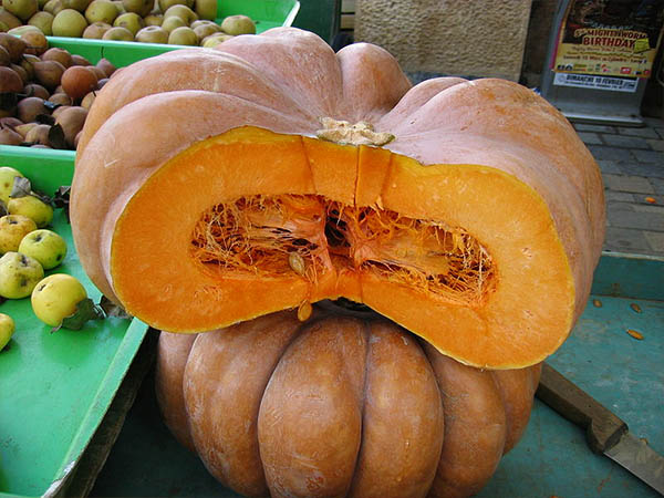 സുഖപ്രസവം