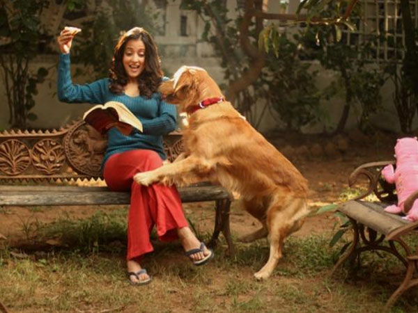 സംഭവിച്ചത് ഇങ്ങനെ