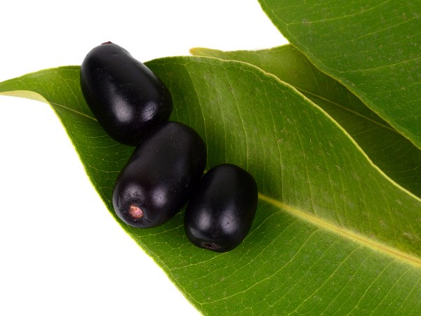 കഠിനമായ പനി