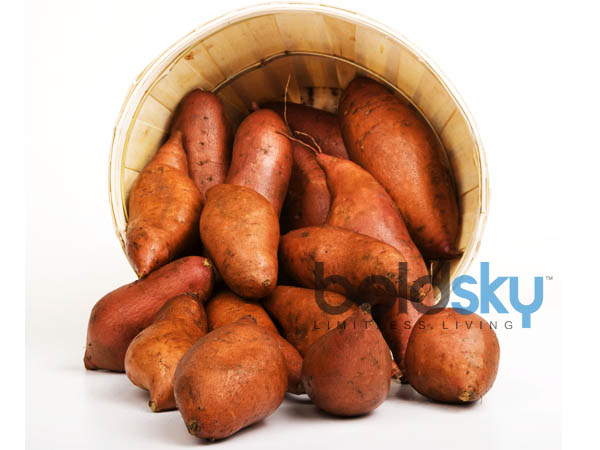 രോഗപ്രതിരോധ ശേഷി