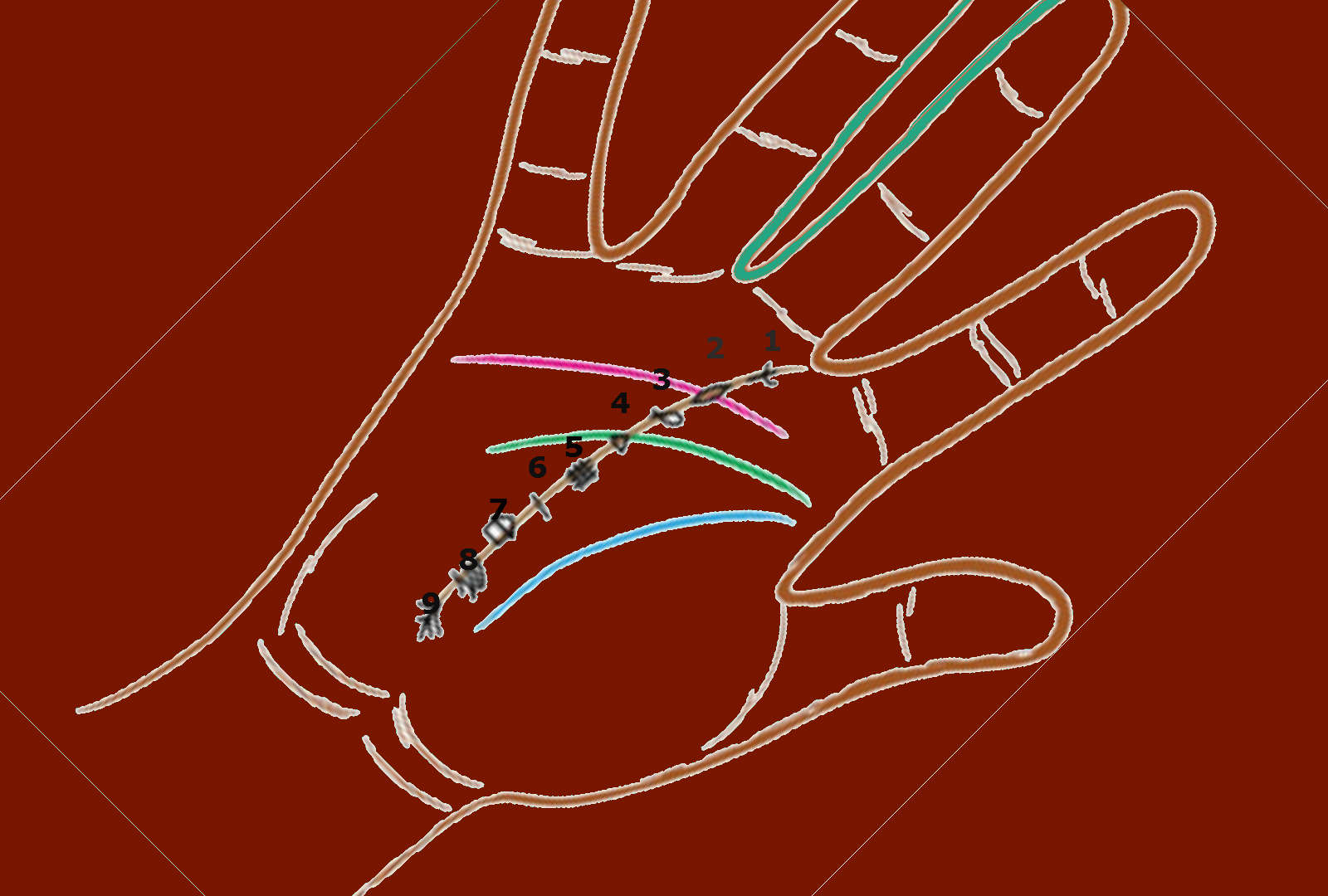 6