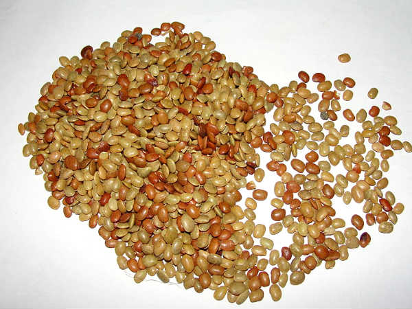 വെള്ളം
