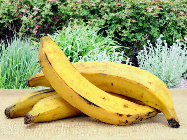 മുടിയുടെ അറ്റം പിളരുന്നതിന്