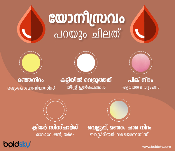 ബാക്ടീരിയല്
