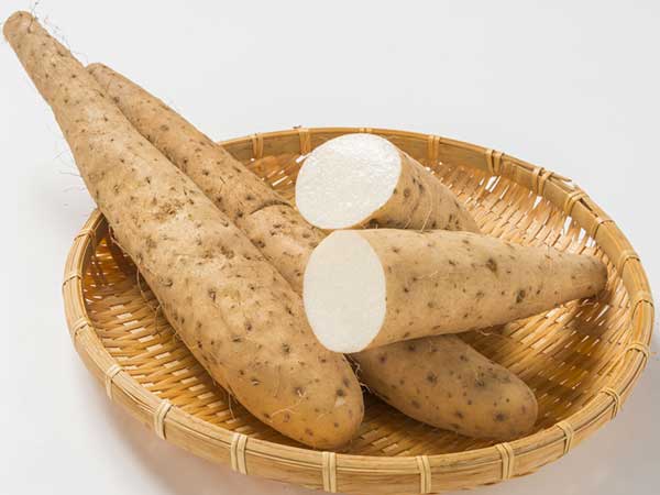 കാട്ടു ചേന