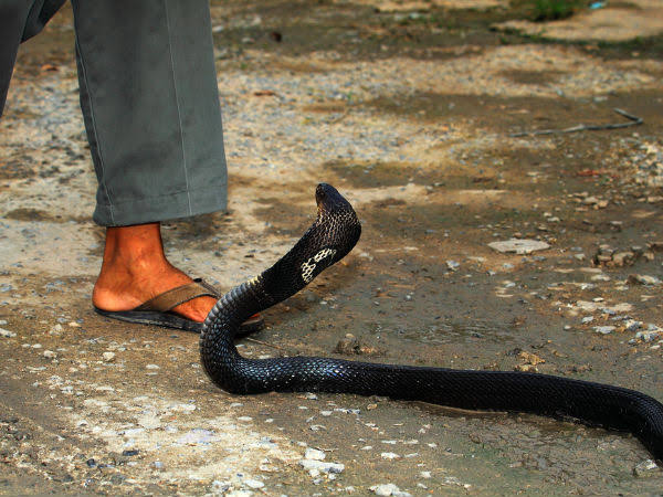 രണ്ട് കിലോമീറ്ററോളം