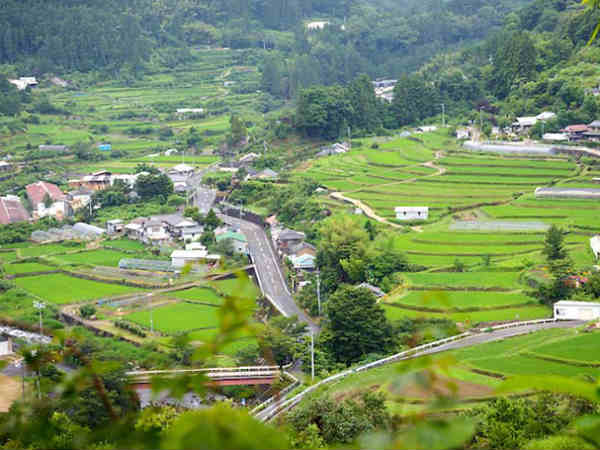 ഭൂമിയുടെ രൂപവും ഫലങ്ങളും