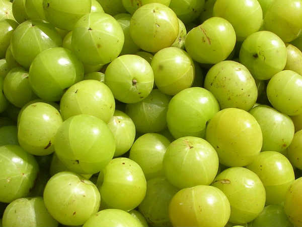 നെല്ലിക്ക