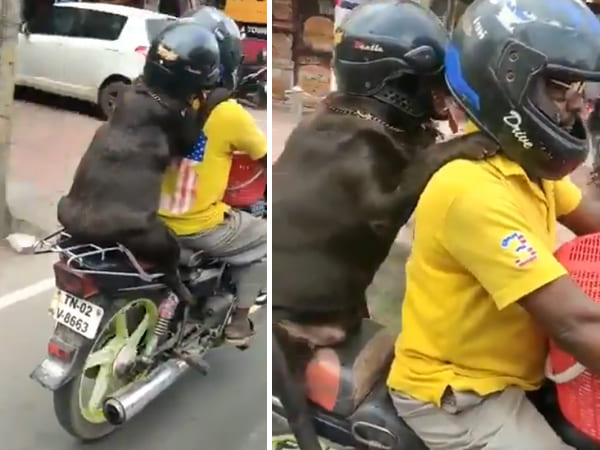 പിൻസീറ്റിലെ സുരക്ഷ